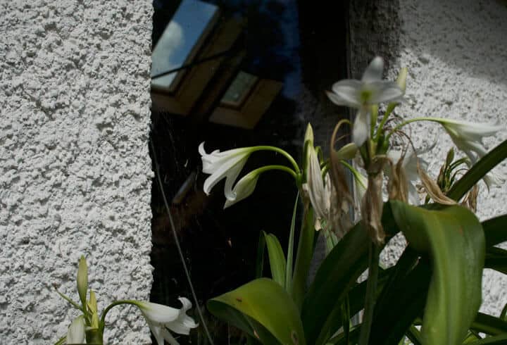 Green PR , Ecological B2B & Eco-Friendly PR