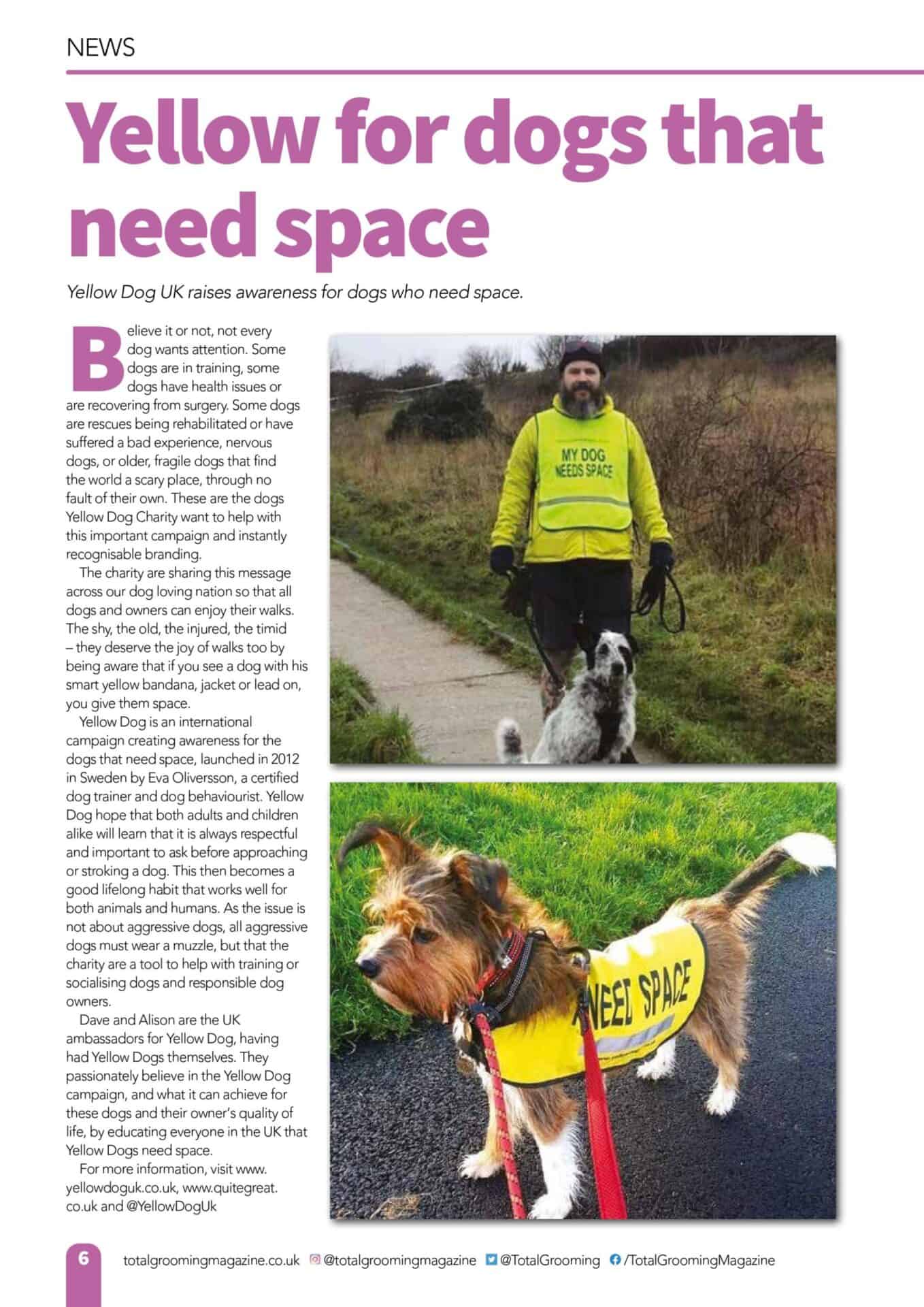 Yellow Dog UK Pet PR and Animal PR Agency