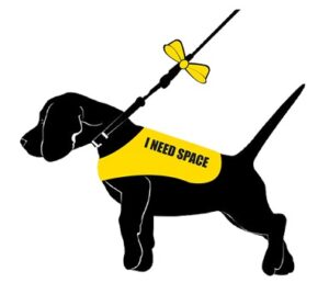 Yellow Dog Charity Campaign