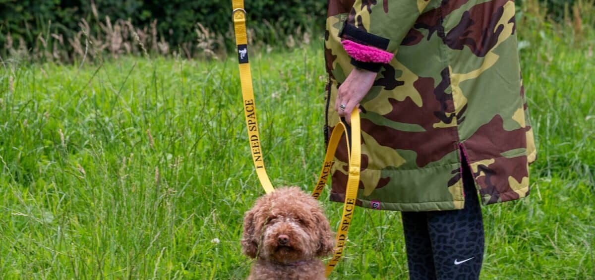 Yellow Dog Lead