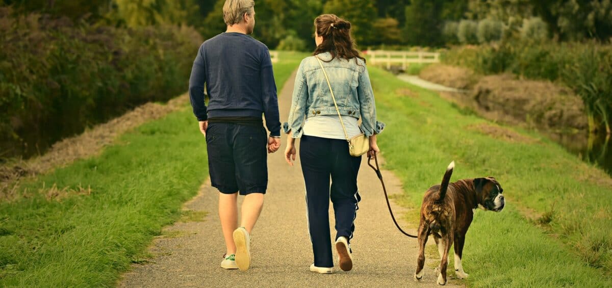 Dogs Run Free in All Parks