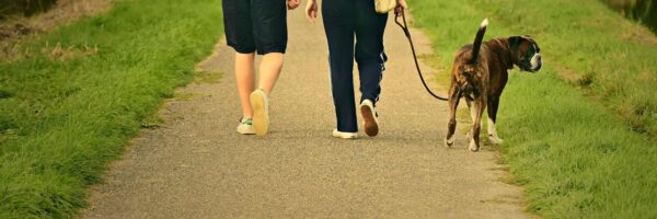 Dogs Run Free in All Parks