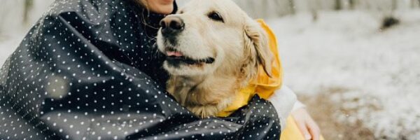 Animal PR UK PR Agency