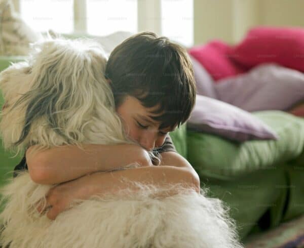 Love Your Pet Day