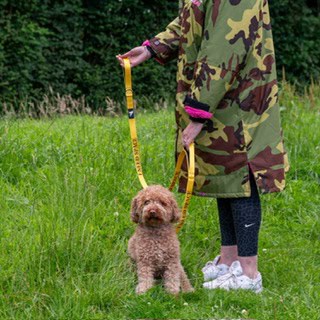 Yellow Dog Leads