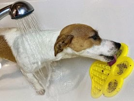 Stress-relief Slow Release Lick Mat